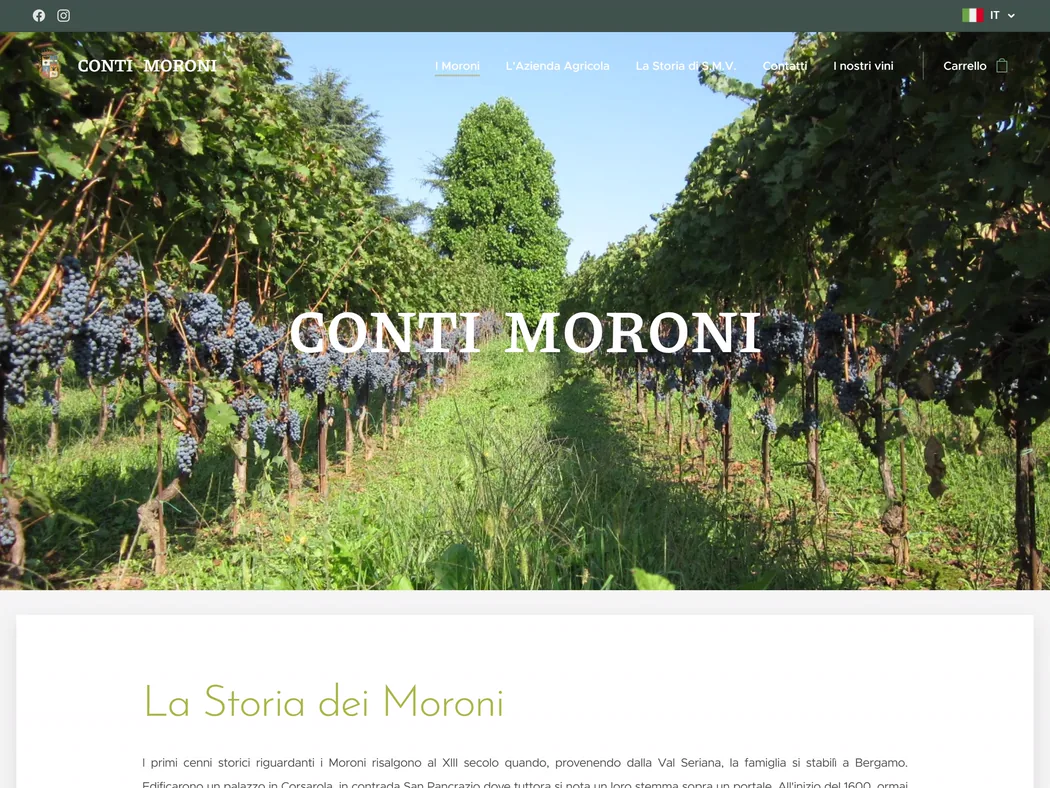 Anteprima del sito Conti Moroni — Sito attività